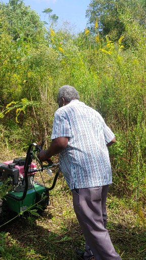 Environmental wellness with bush cutter to increase visibility and safety.